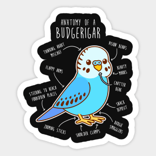 Blue Budgie Anatomy Sticker